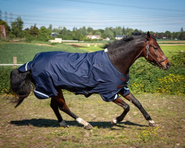 Couverture D'extérieur Cheval CCE Equishield