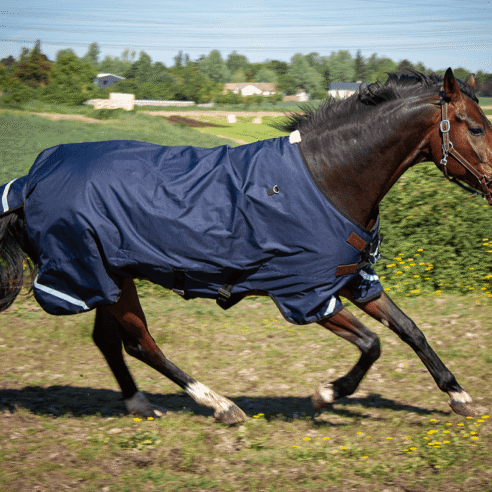 cheval portant une couverture d'extérieur 1680D imperméable et coupe-vent, idéale pour l'extérieur