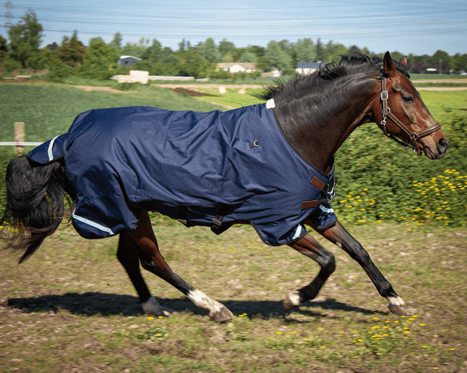 cheval portant une couverture d'extérieur 1680D imperméable et coupe-vent, idéale pour l'extérieur