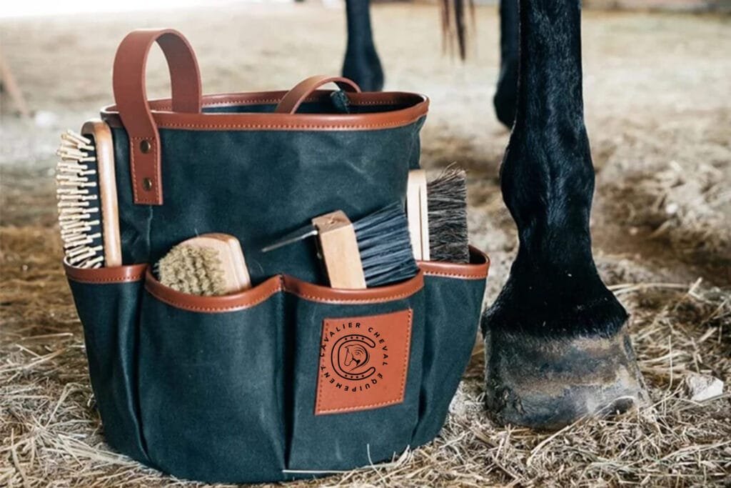 CCE – équipements pour cavalier et cheval